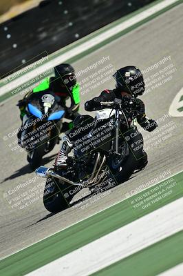 media/Oct-25-2025-2WTD (Sat) [[1e4a1f2fa2]]/B Group/Session 5 (Turn 2)/